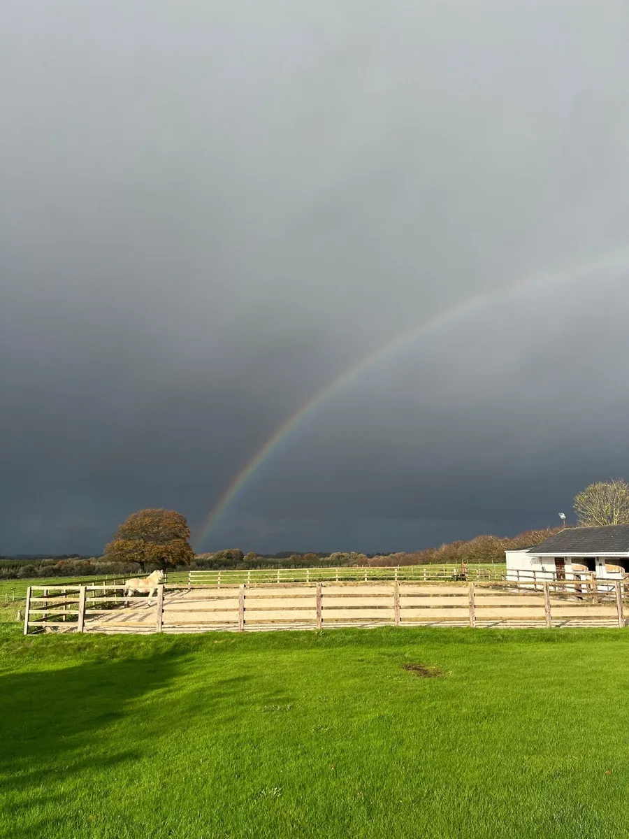 Assisted livery - Image 2