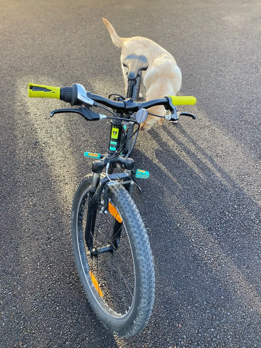 TREK Precaliber 24 Kids Bike - Image 2