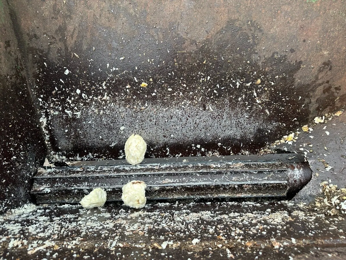 Fodder beet chopper - Image 4