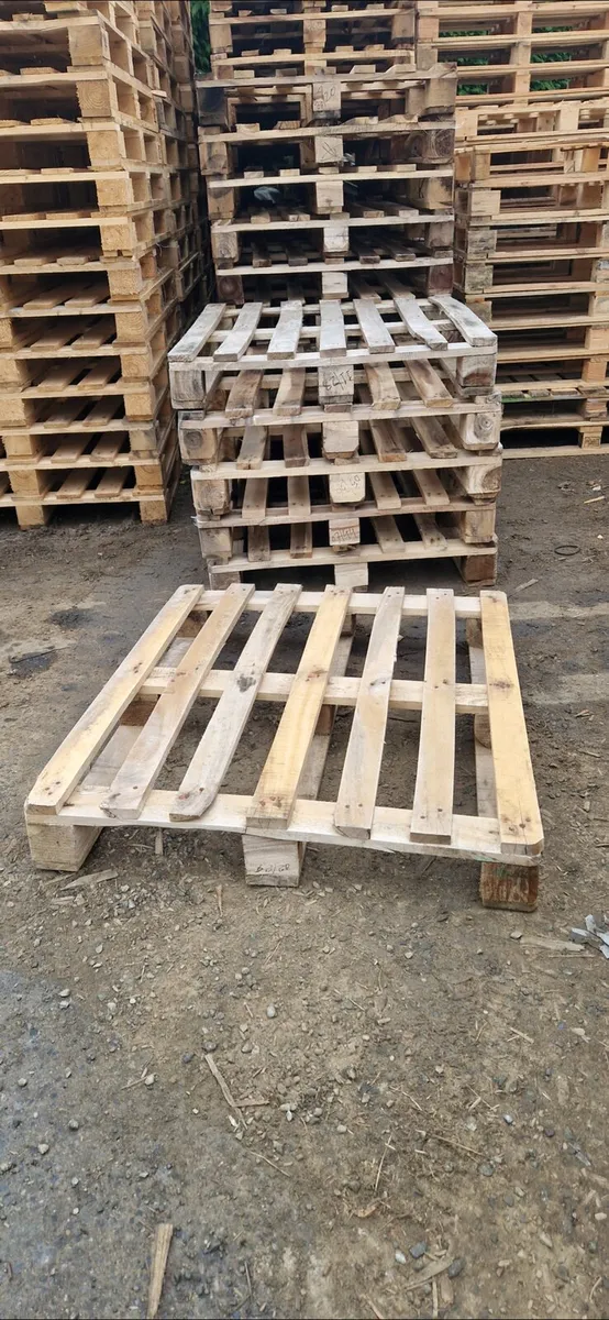Timber Pallets - Image 1