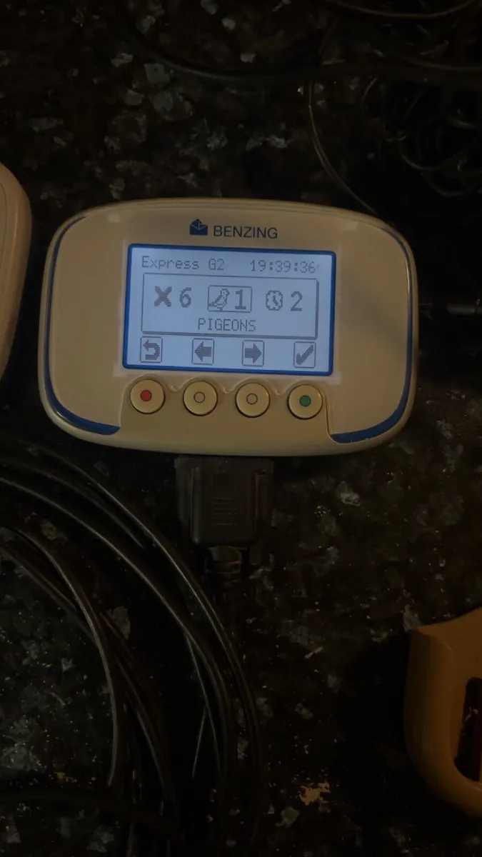 Racing pigeon ETS clock - Image 1