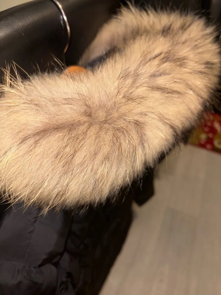 Canada Goose Jacket - Image 2