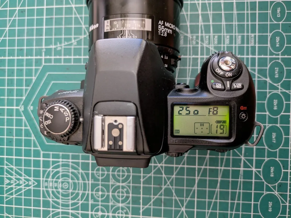 🎞️ Nikon F80 Autofocus film SLR camera, body only - Image 3