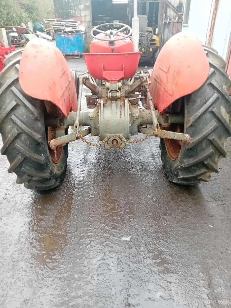 Massey Ferguson 35 TVO - Image 3