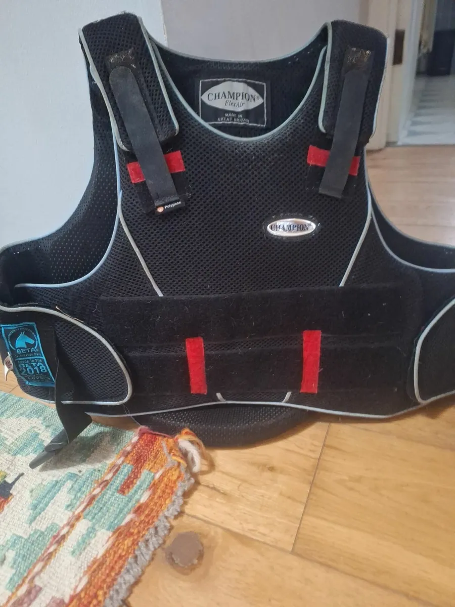 Horse riding helmet and  back protector - Image 1