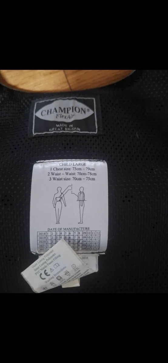 Horse riding helmet and  back protector - Image 2