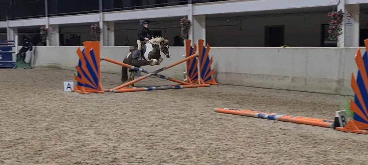 Kids pony clifden - Image 1