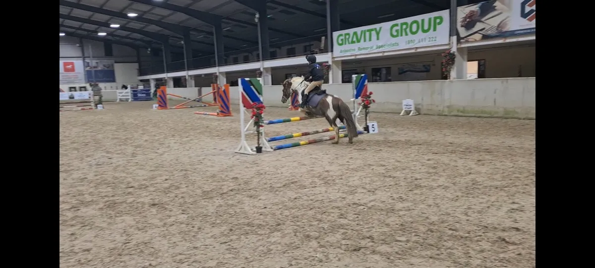 Kids pony clifden - Image 2