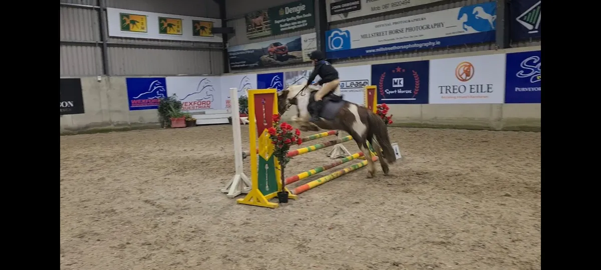 Kids pony clifden - Image 3