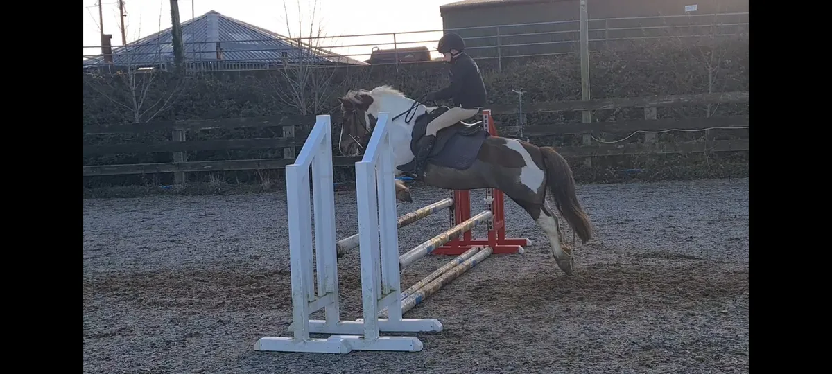 Kids pony clifden - Image 4