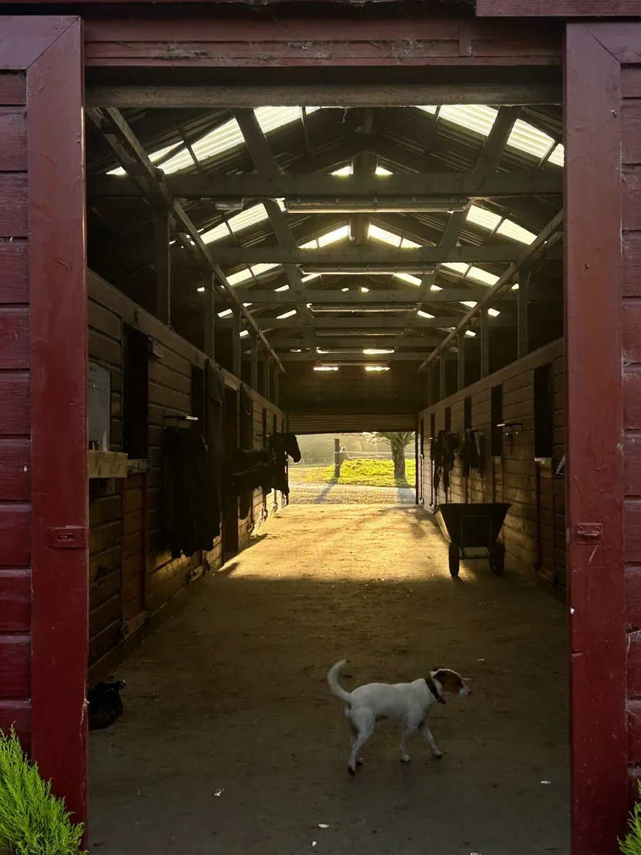 Livery Available 🏡🍂 - Image 1