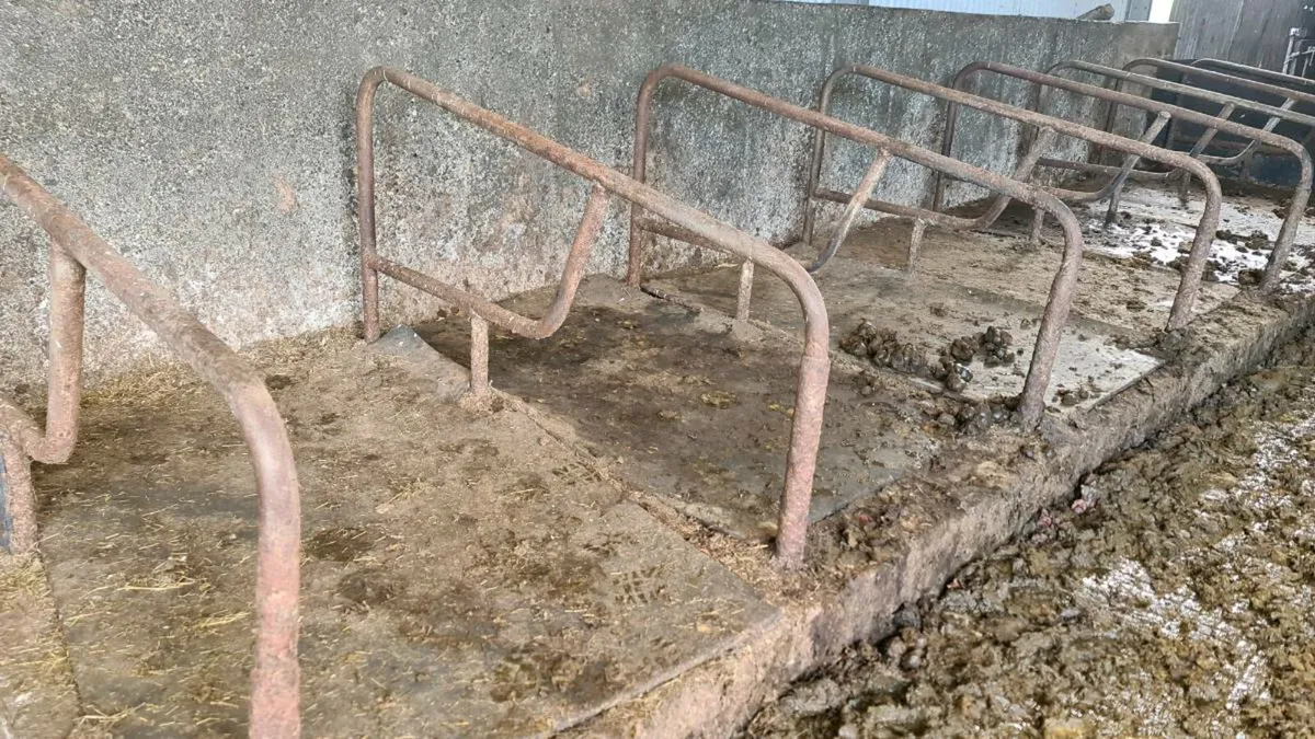 Good used cubicles and mats - Image 1