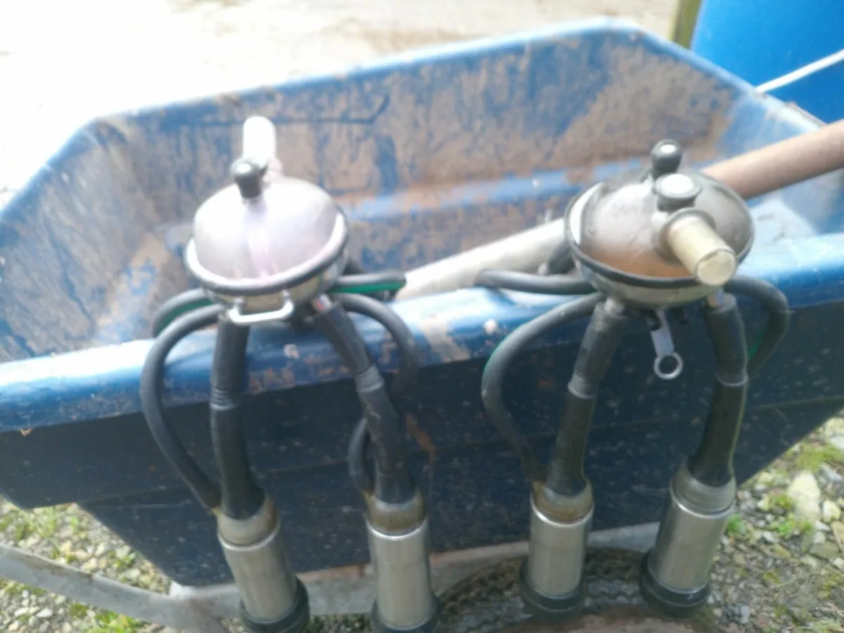 Clusters, wash trough and milk filter - Image 3