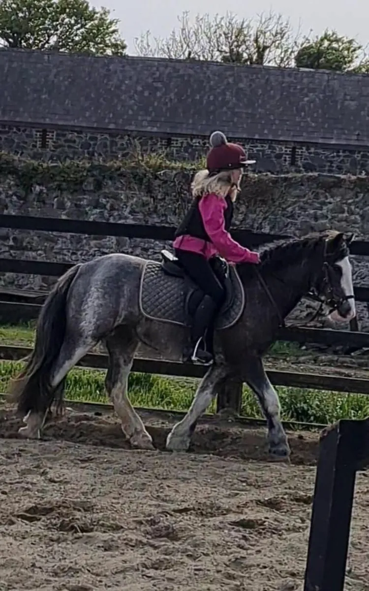 Buddy Lot 402 Clifden Sat 29th - Image 1