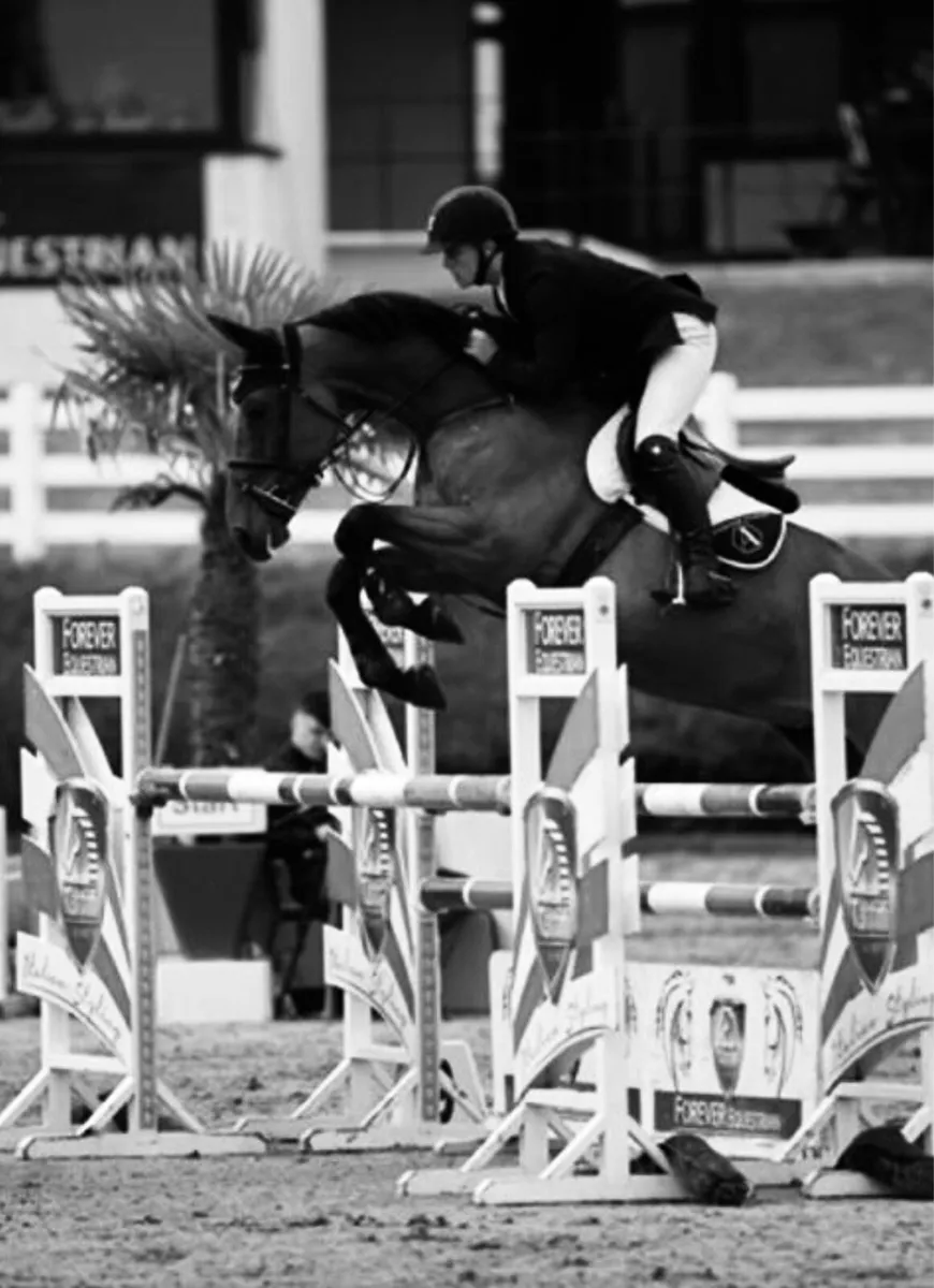 Livery Available 🏡🍂 - Image 2