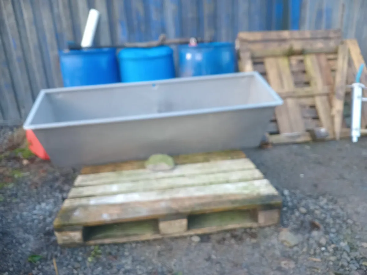 Clusters, wash trough and milk filter - Image 2