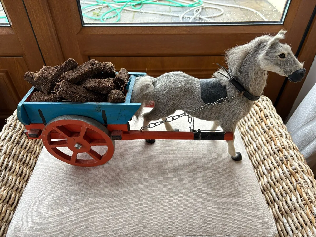 Donkey and cart - Image 1