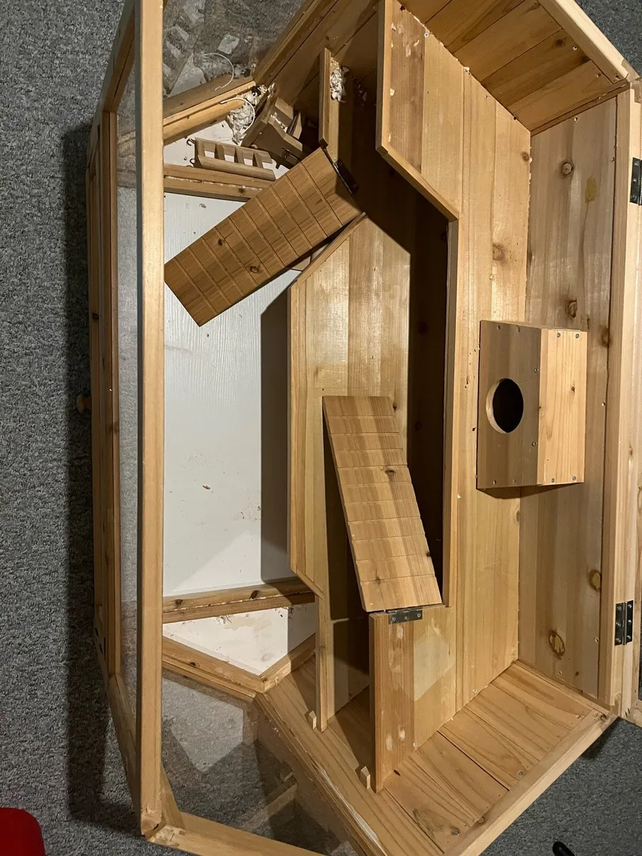 Hamster Cage & Accessories - Image 2