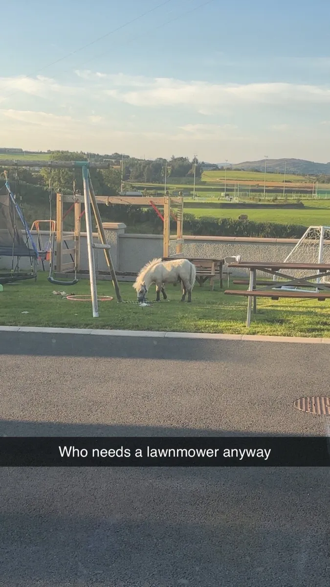 Fella Bella - Image 2