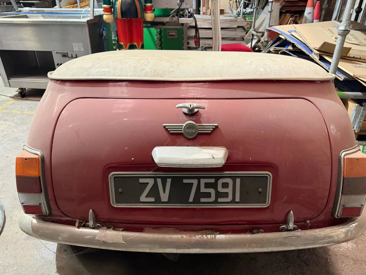 Rover mini trailer - Image 2