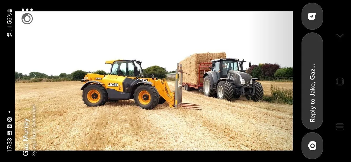 Chopped wheaten, and non chopped barley straw - Image 2