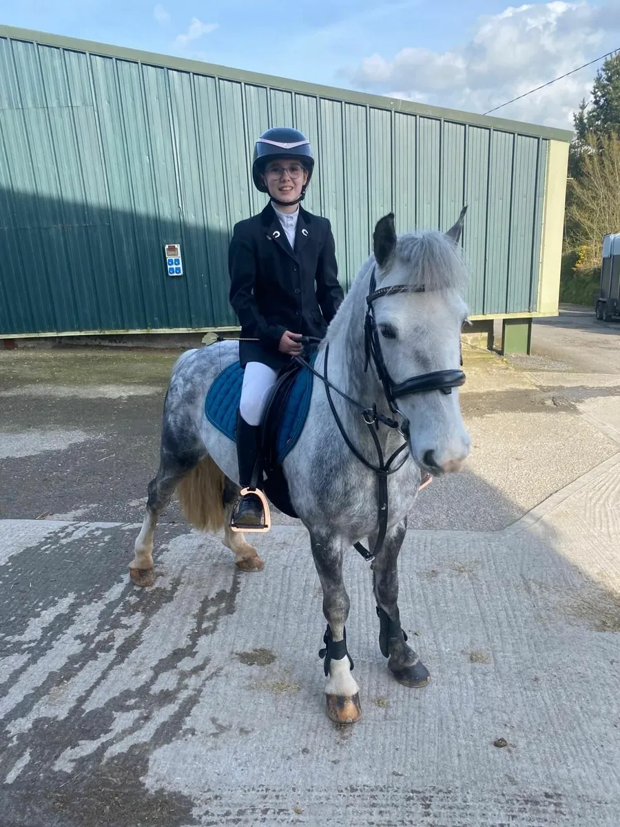 Super 12.2 pony (SMURF) - Image 2