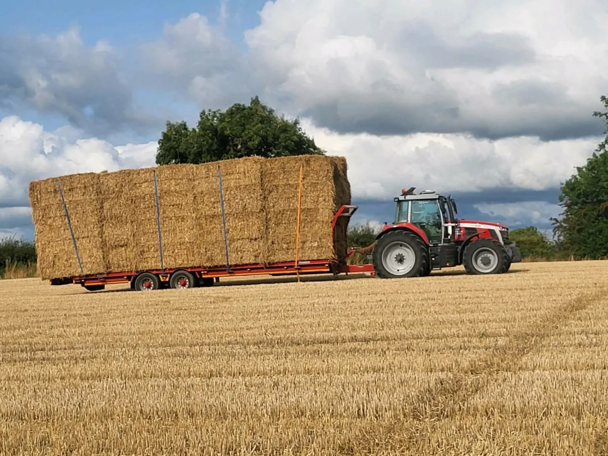 Chopped wheaten, and non chopped barley straw - Image 3