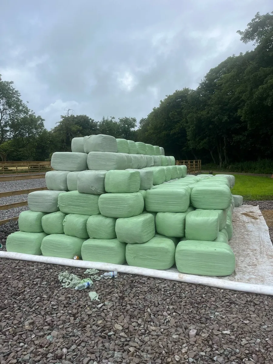 Haylage - Image 4