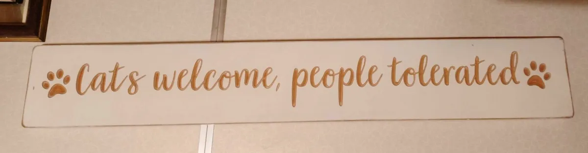 Cat Themed Wall Piece (brand New). - Image 1