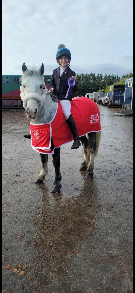 Super 12.2 pony (SMURF) - Image 3