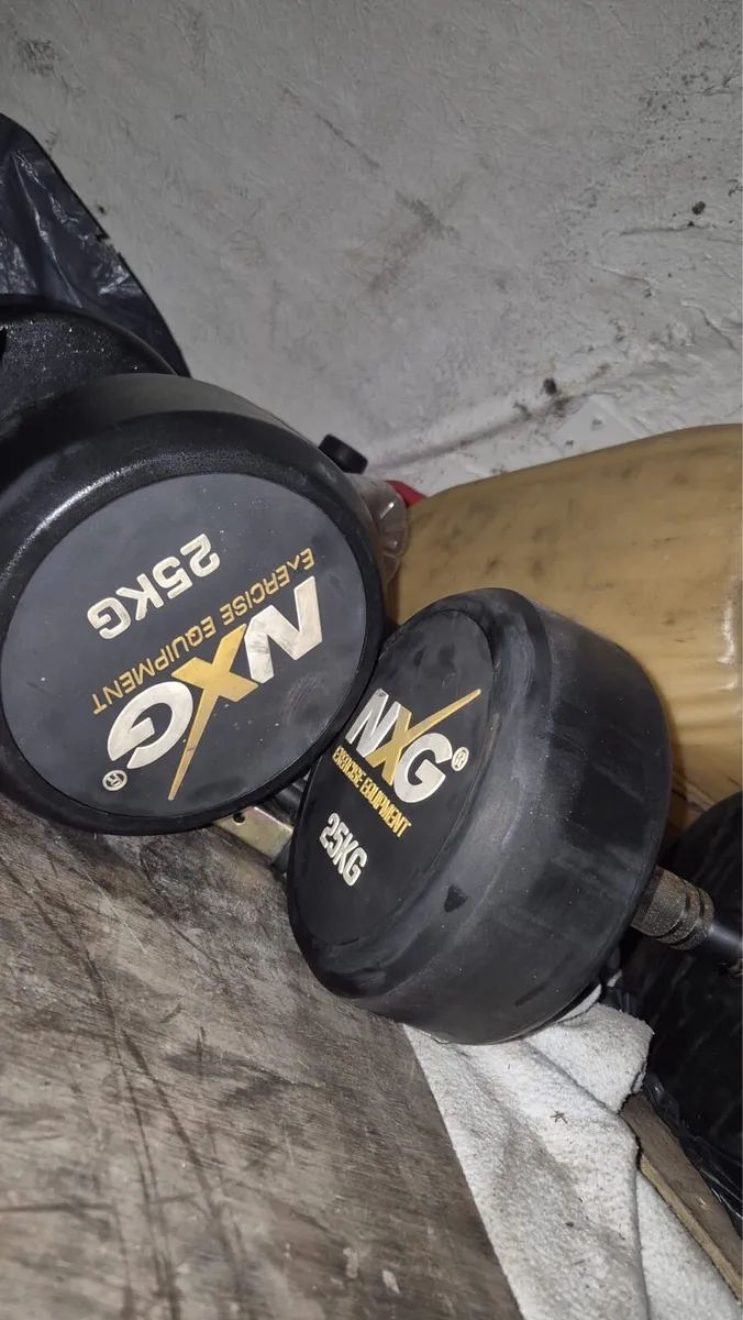 🎁🎅🎁DUMBBELLS🎁🎅🎁 - Image 1