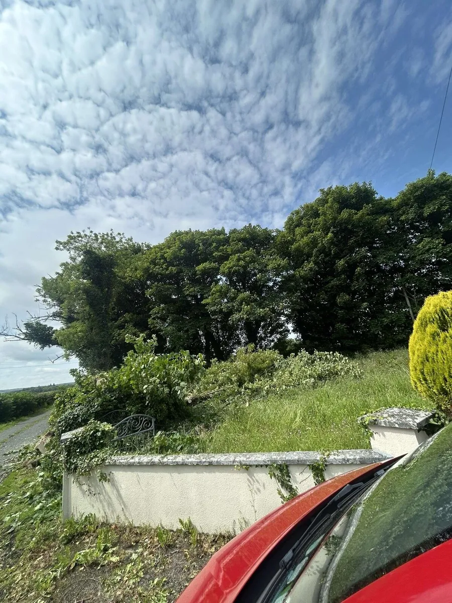 Tree maintenance and removals - Image 3