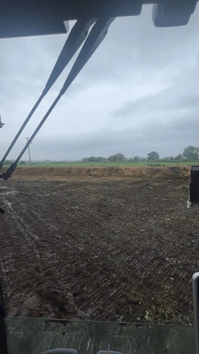 Tree maintenance and removals - Image 4