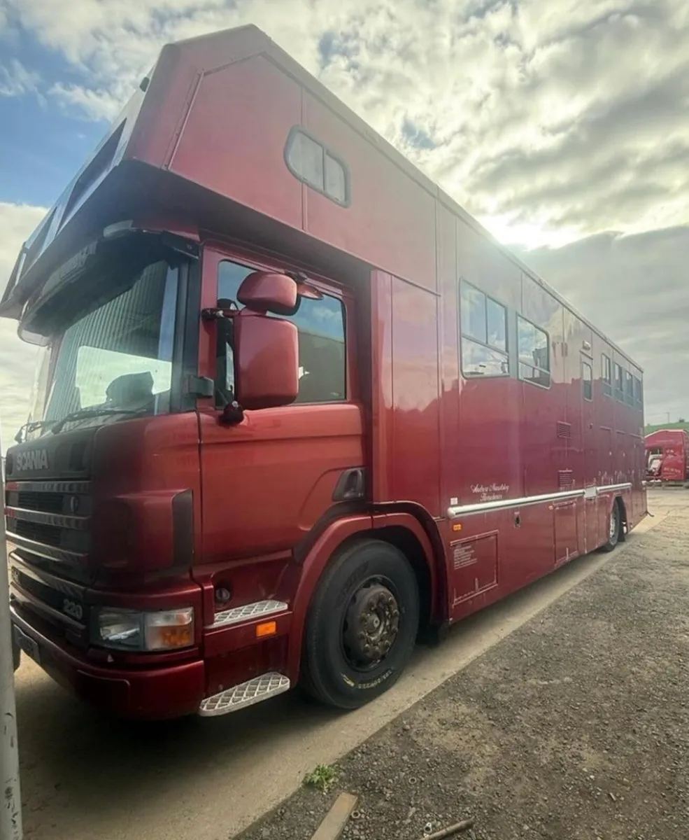 Scania Horse Lorry 5 Horse luxury living - Image 1
