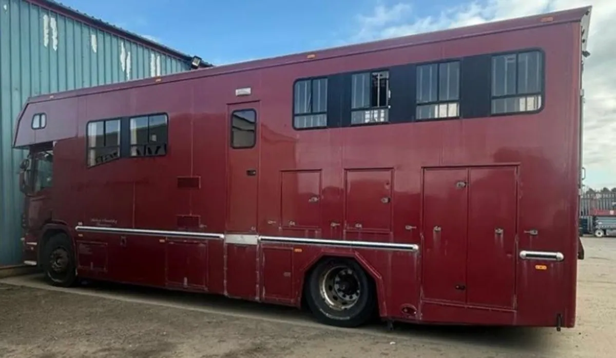 Scania Horse Lorry 5 Horse luxury living - Image 2