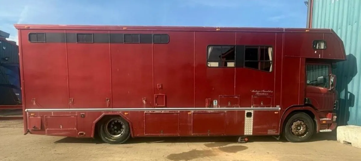Scania Horse Lorry 5 Horse luxury living - Image 3