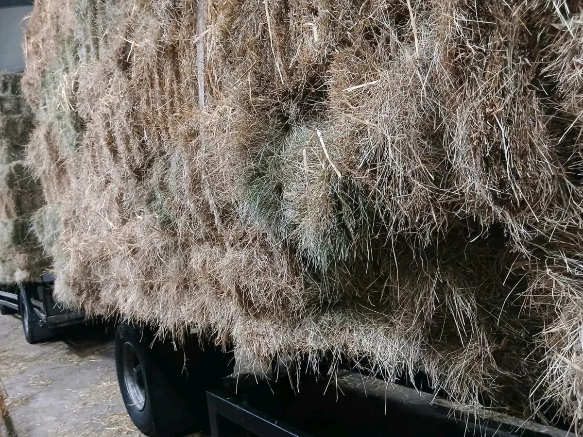 Small square bales of hay and straw - Image 1