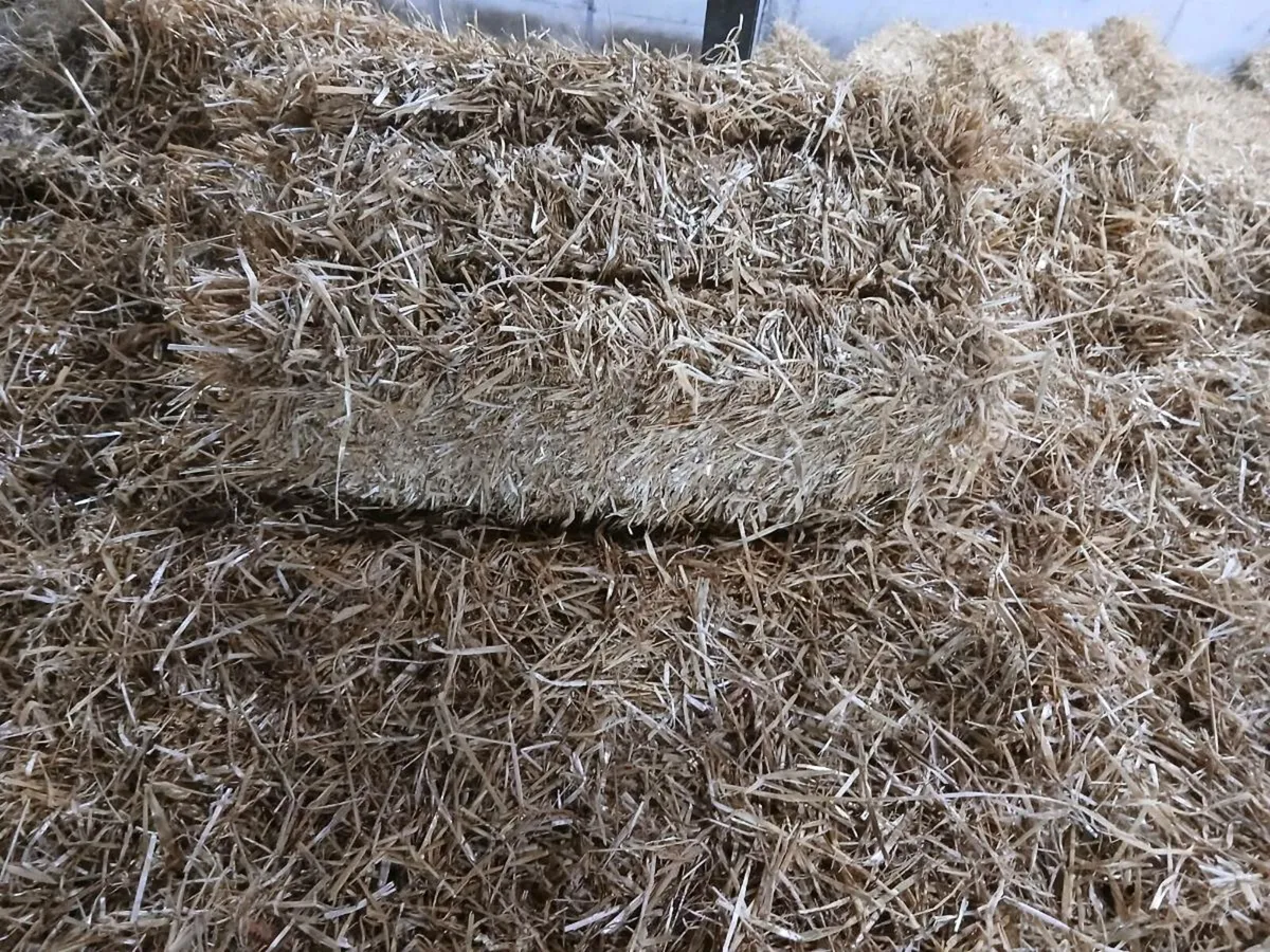 Small square bales of hay and straw - Image 2