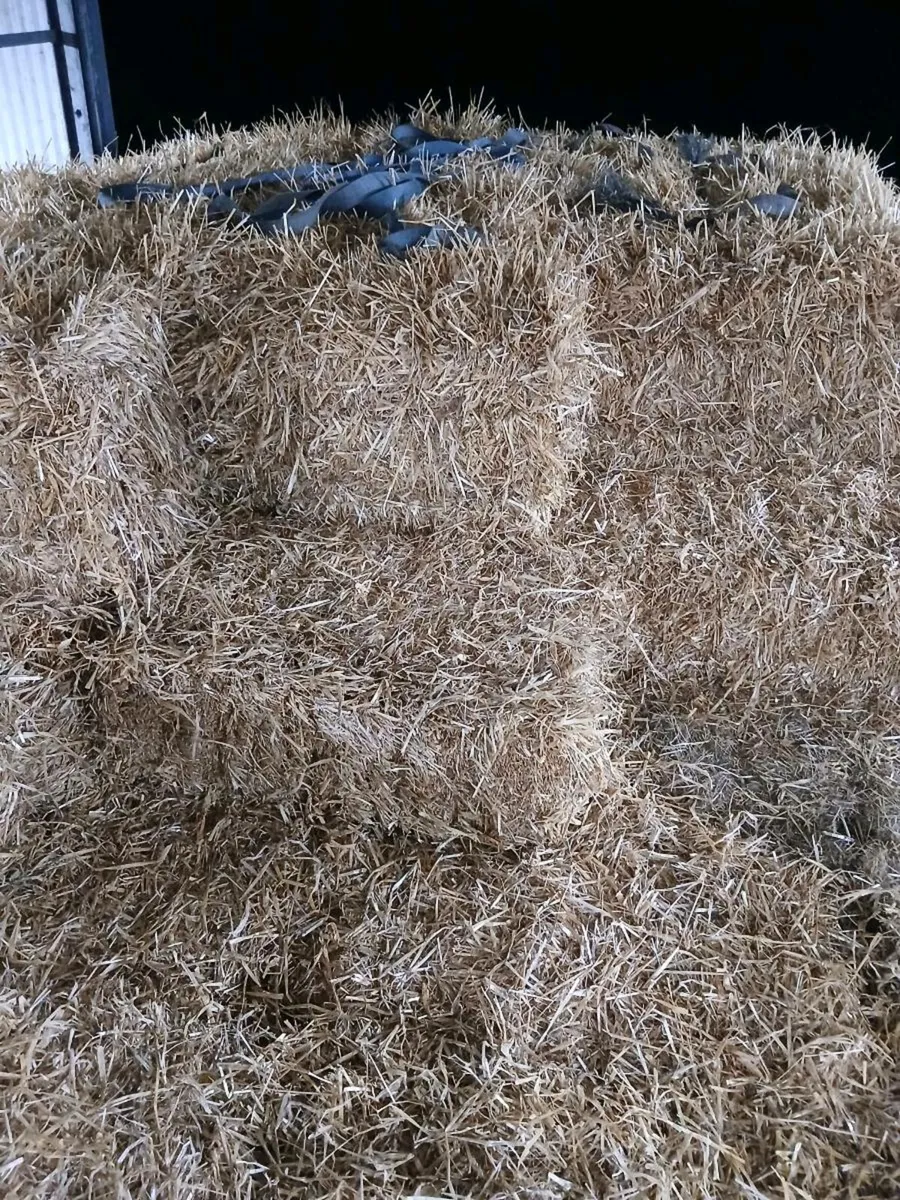 Small square bales of hay and straw - Image 3