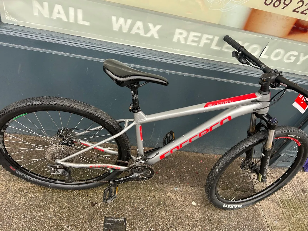 Carrera Sulcata ❗️Open 7 days of the week - Image 4