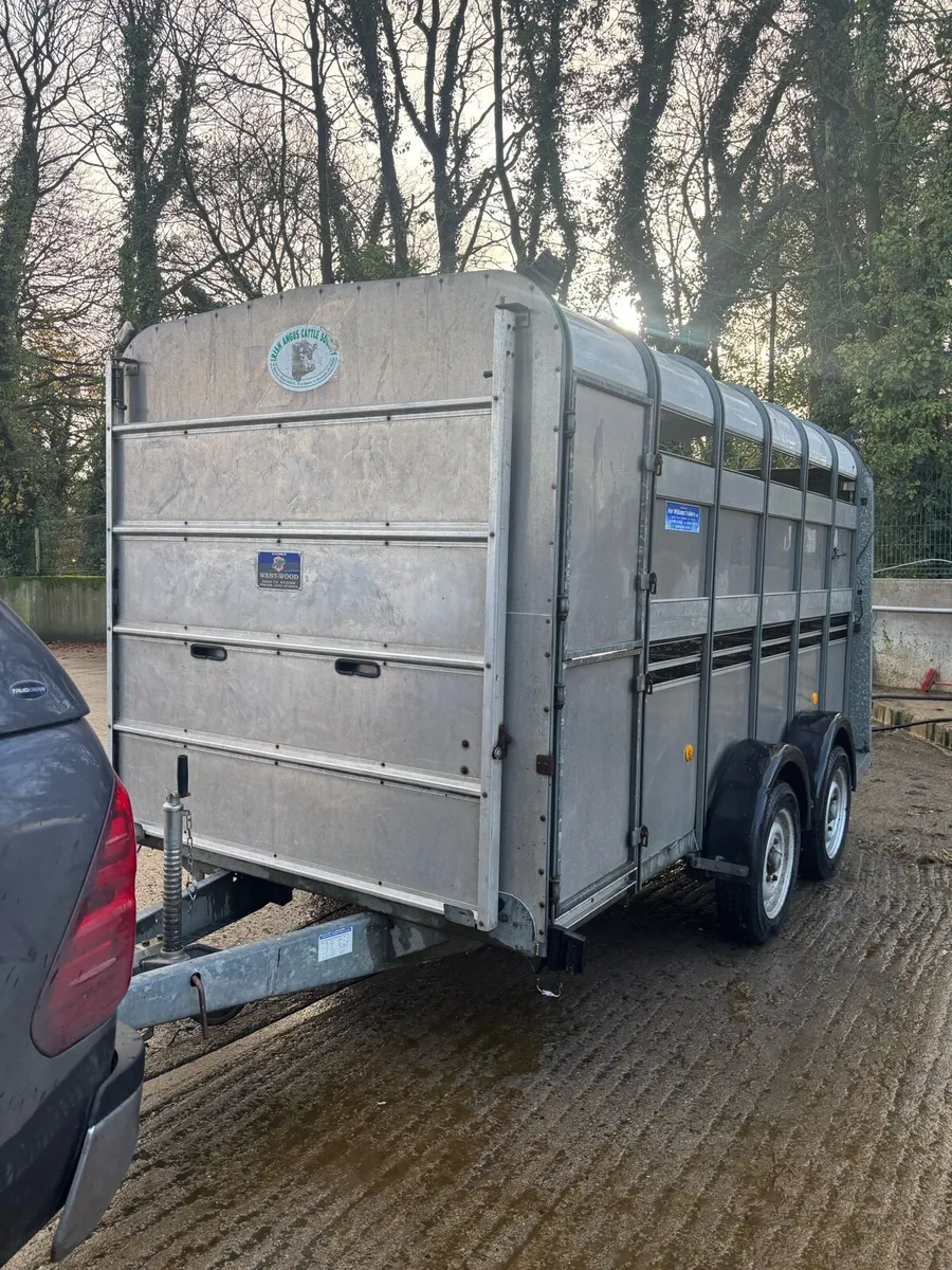 Iforwilliams 12 x 6 - Image 1