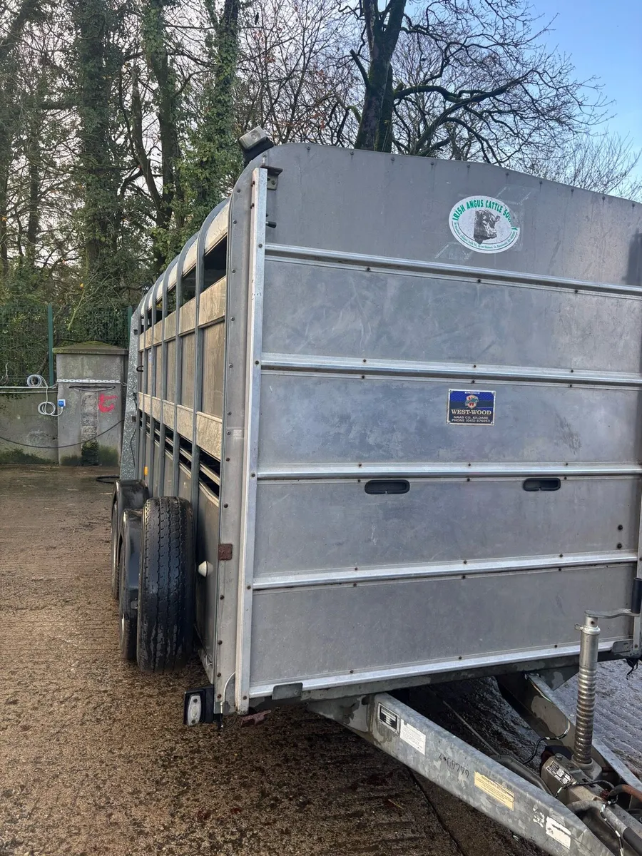 Iforwilliams 12 x 6 - Image 2