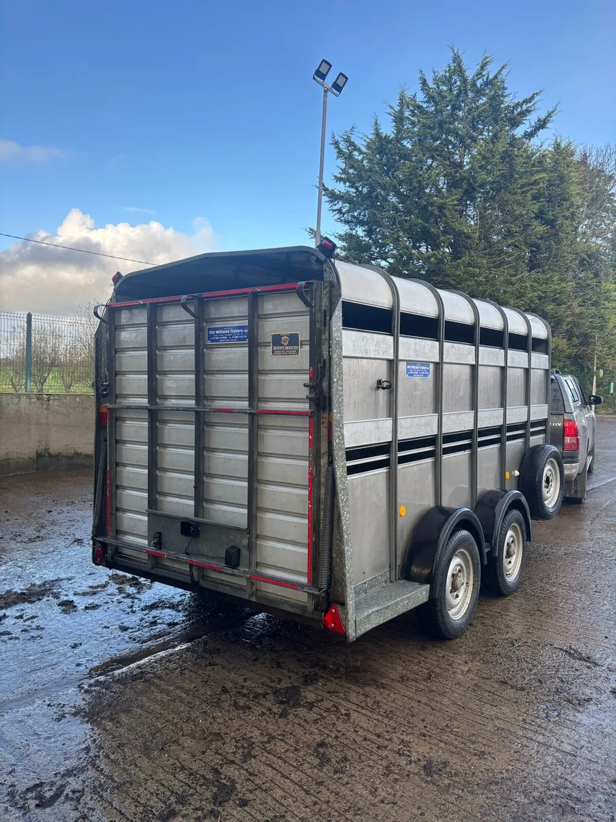 Iforwilliams 12 x 6 - Image 3