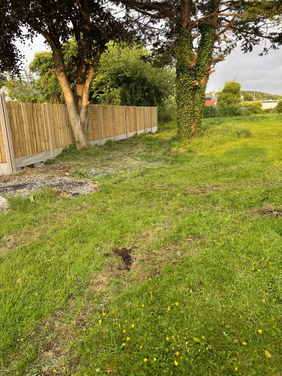 Fencing erected - Image 4