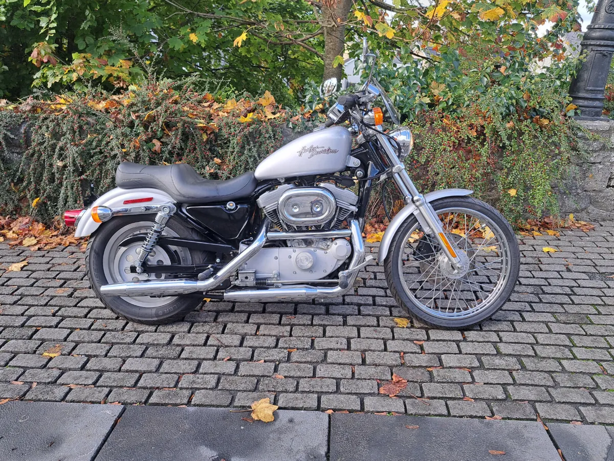 883 sportster - Image 1