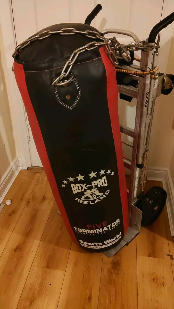 Boxing Punch Bag - Image 2