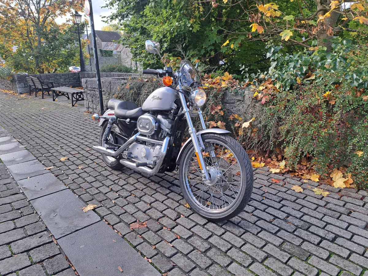 883 sportster - Image 2