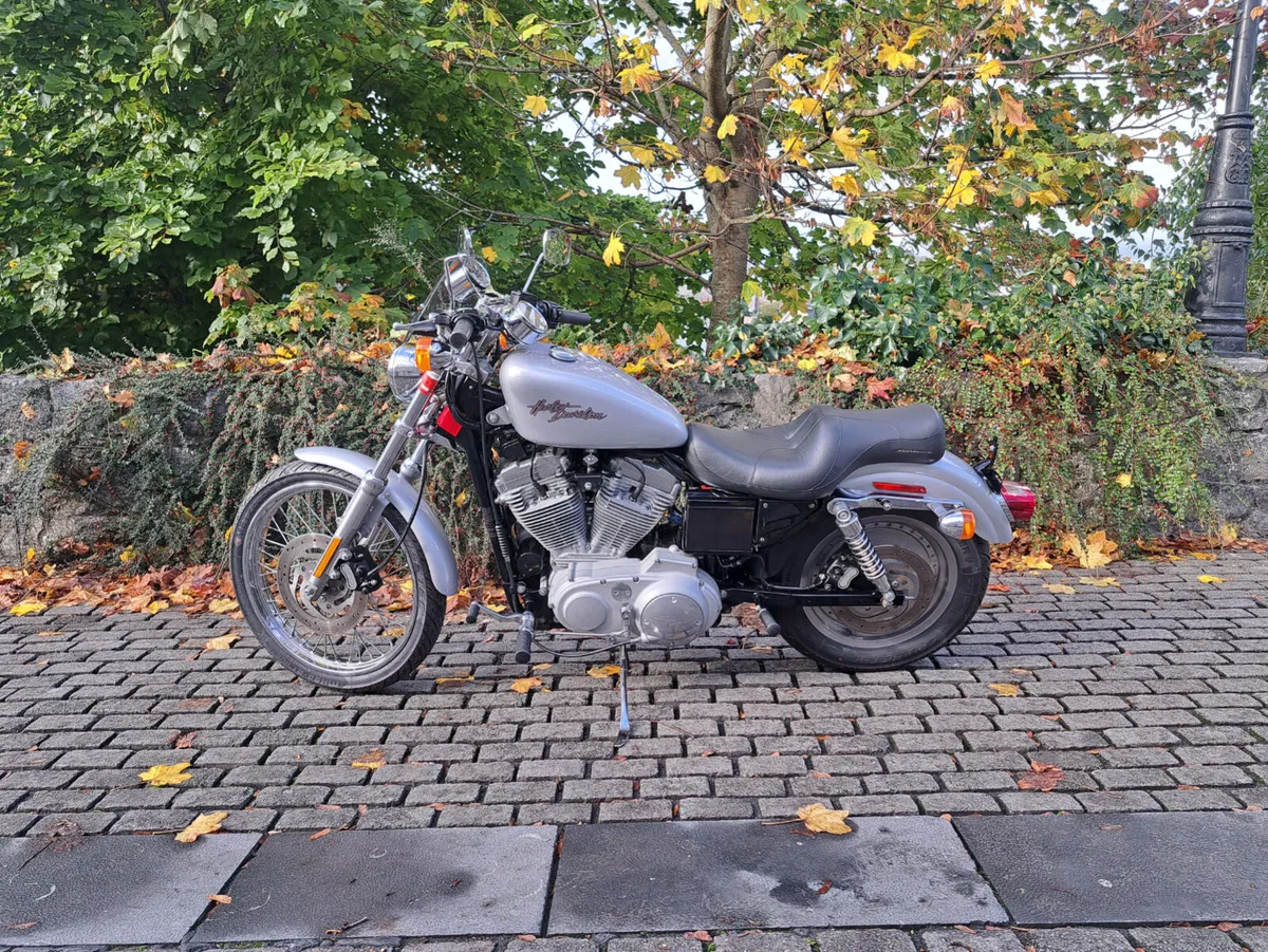 883 sportster - Image 3