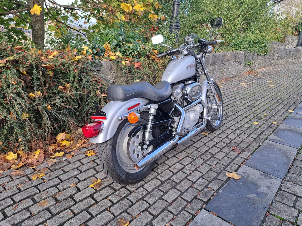 883 sportster - Image 4