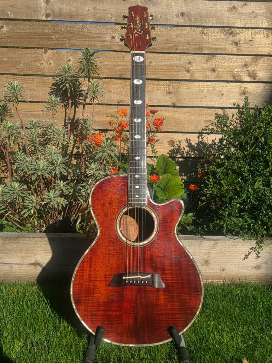 Takamine LTD1991 - Image 1